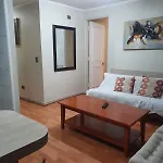 Departamento Con Ubicacion Privilegiada: Entre Metro Pedro De Valdivia Y Los Leones, Con Sillon Cama
