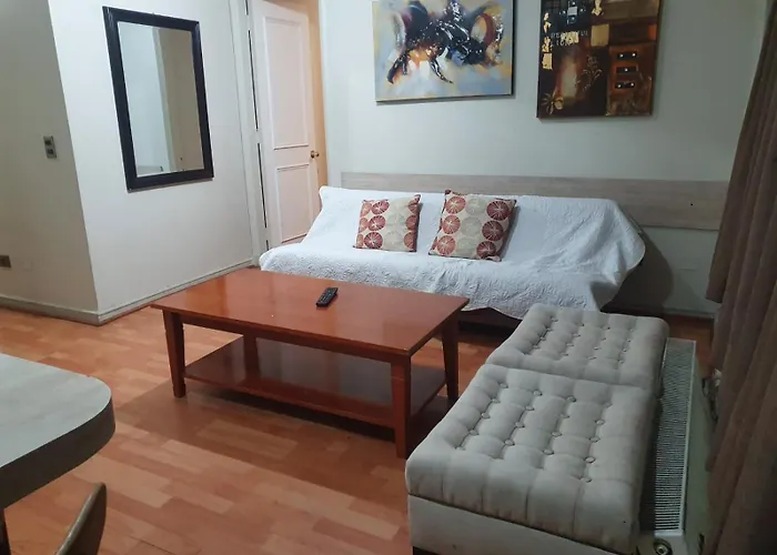 Departamento Con Ubicacion Privilegiada: Entre Metro Pedro De Valdivia Y Los Leones, Con Sillon Cama
