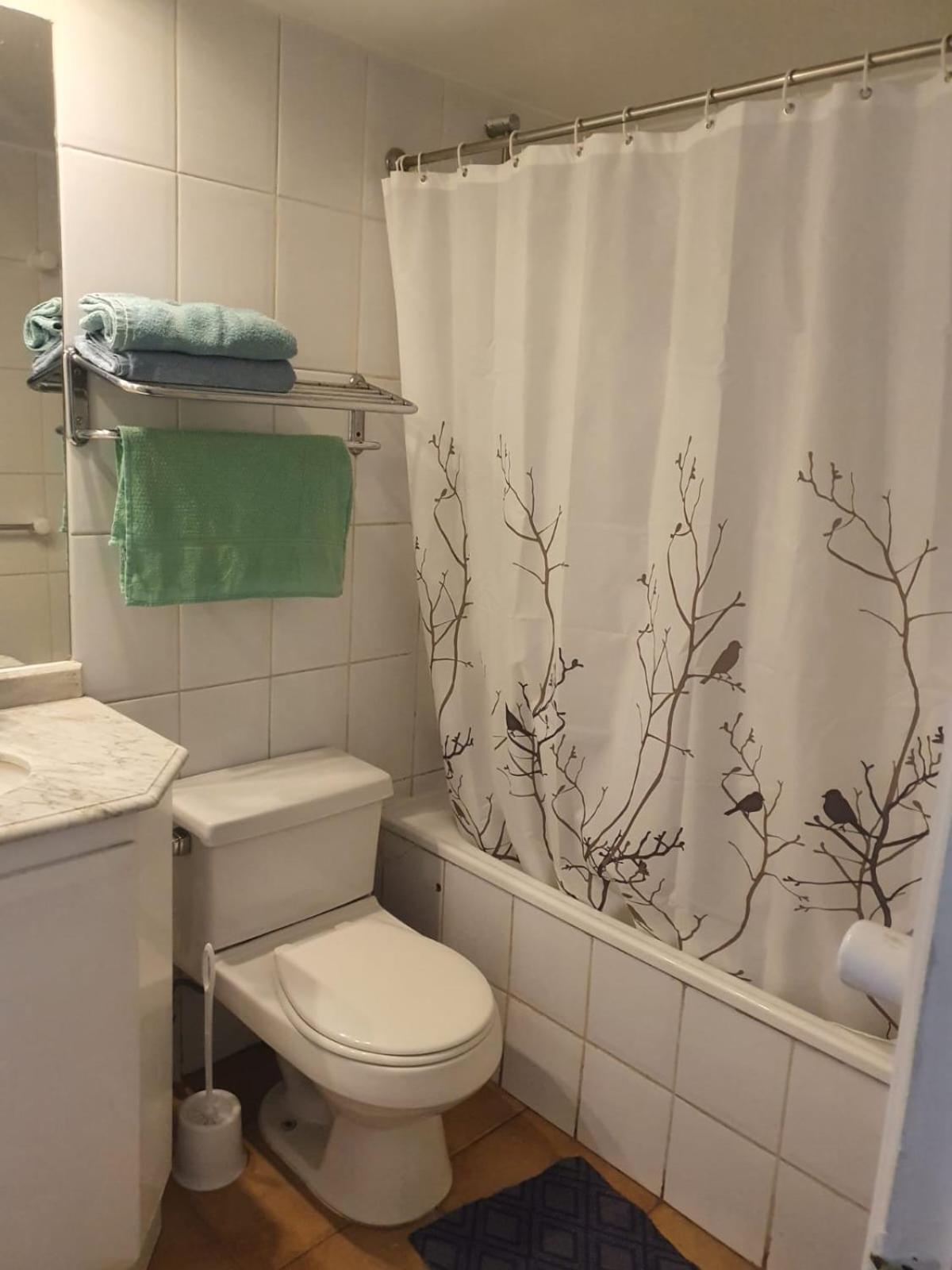 Departamento Con Ubicacion Privilegiada: Entre Metro Pedro De Valdivia Y Los Leones, Con Sillon Cama