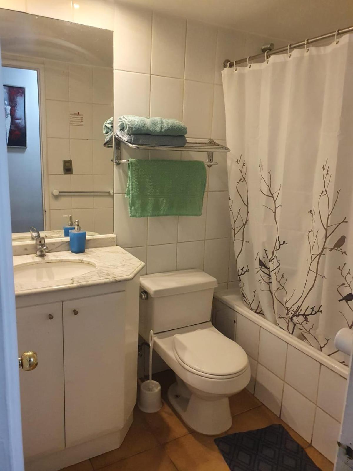 Departamento Con Ubicacion Privilegiada: Entre Metro Pedro De Valdivia Y Los Leones, Con Sillon Cama Apartamento Santiago